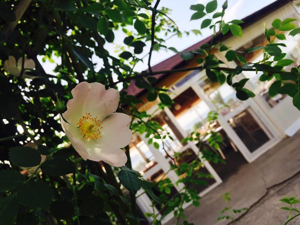 Kompleksi Turistik Edir Orikum Luaran gambar