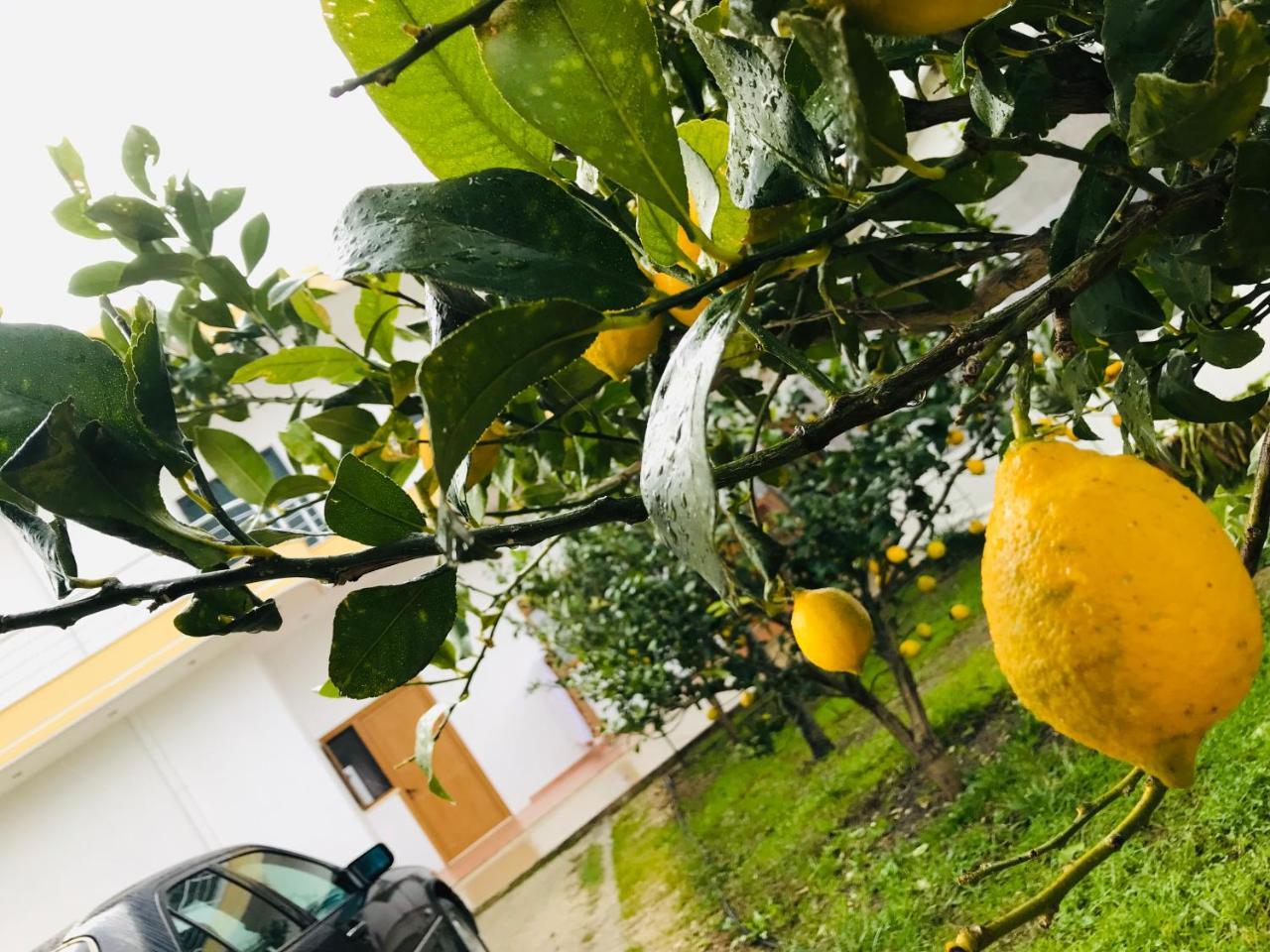 Kompleksi Turistik Edir Orikum Luaran gambar